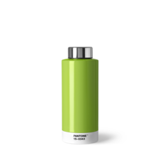 PANTONE Drinking bottle Steel 0,63l - Green 15-0343