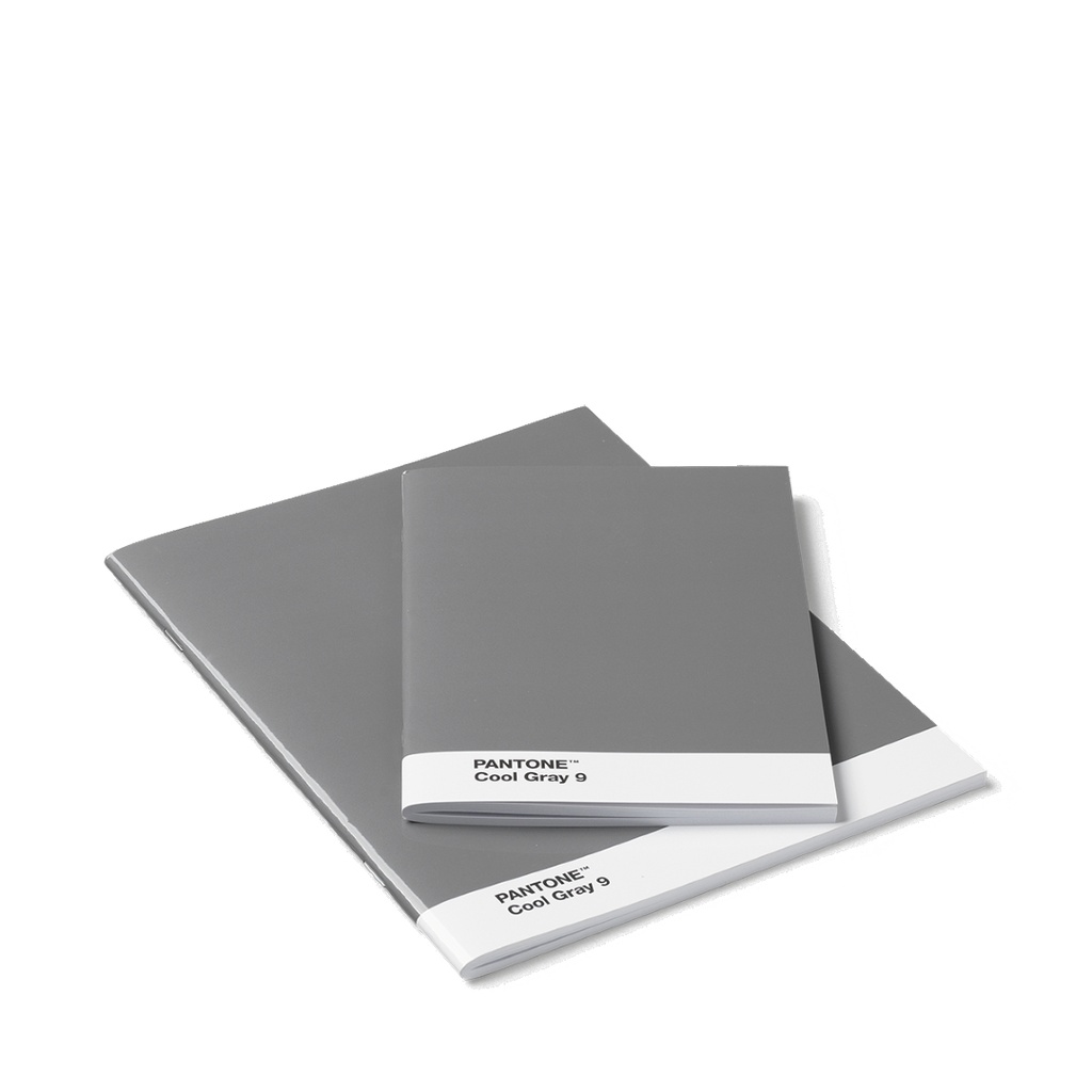 PANTONE Booklets, set of 2 -  Cool Gray 9