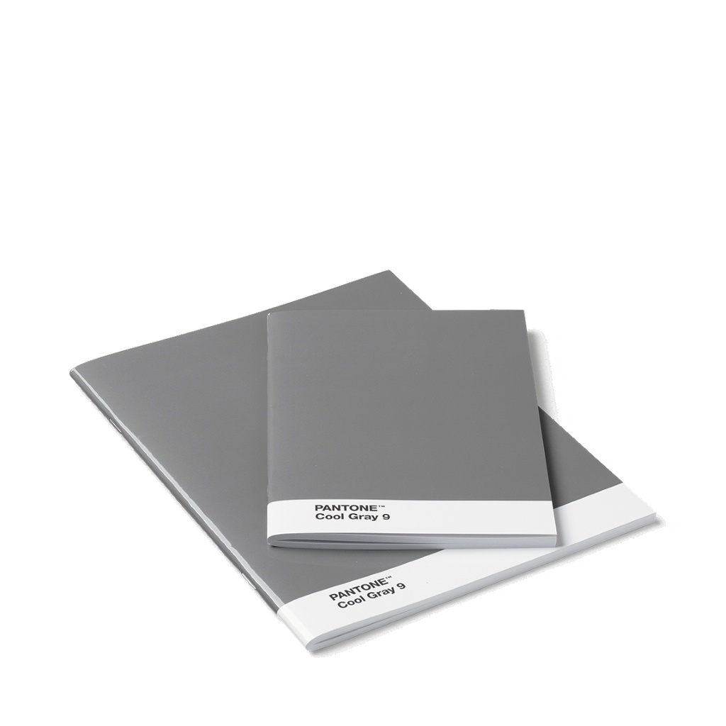 PANTONE Zápisník, 2 veľkosti, mäkká väzba - Cool Gray 9