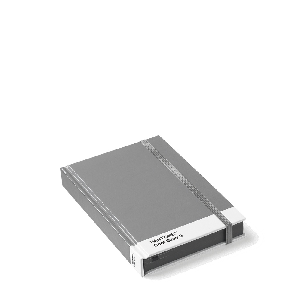 PANTONE Notebook S -  Cool Gray 9