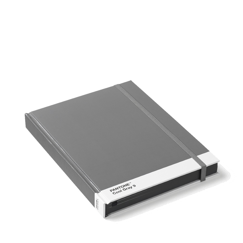 PANTONE Notebook, vel. L - Cool Gray 9 - 101450009.jpg