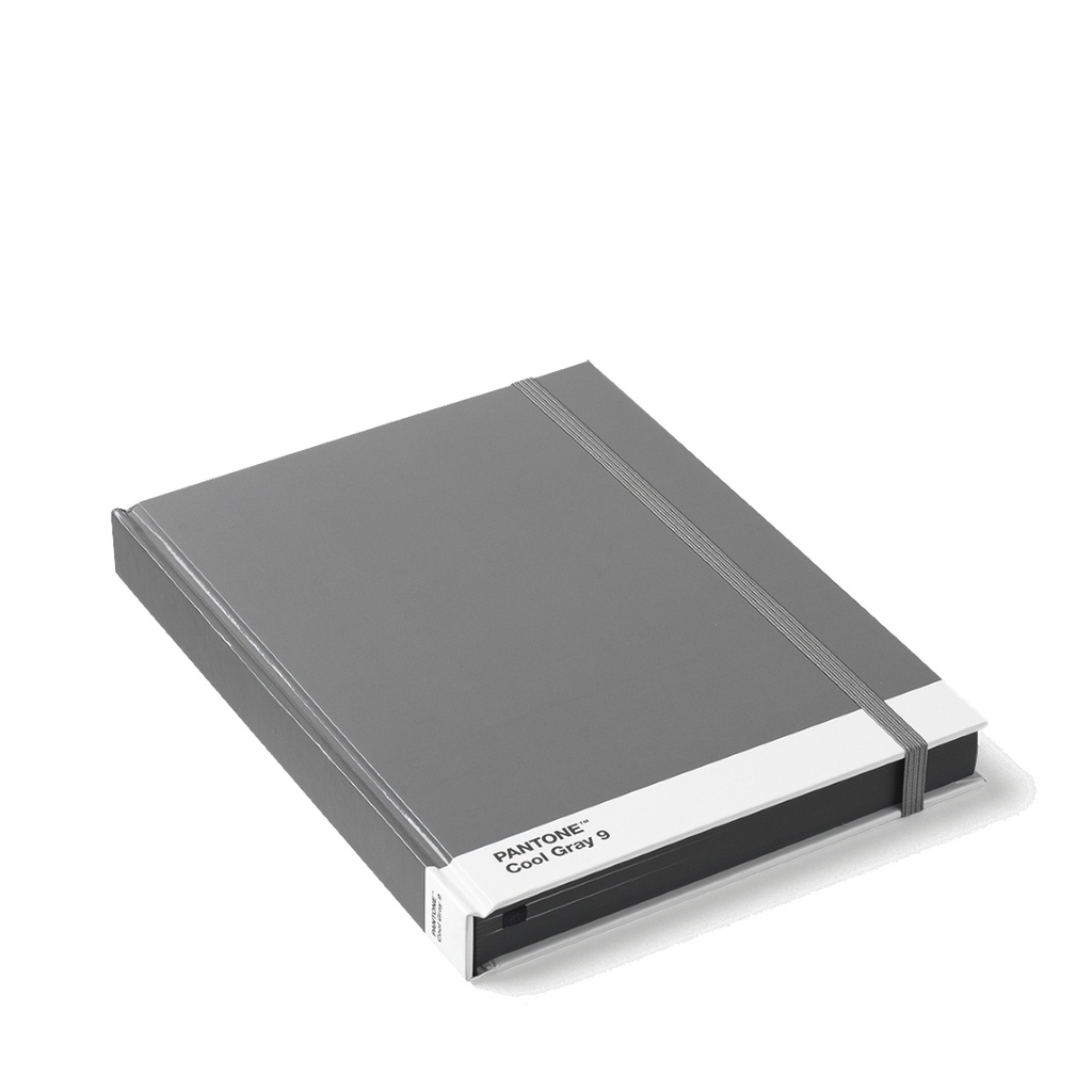 PANTONE Notebook L -  Cool Gray 9