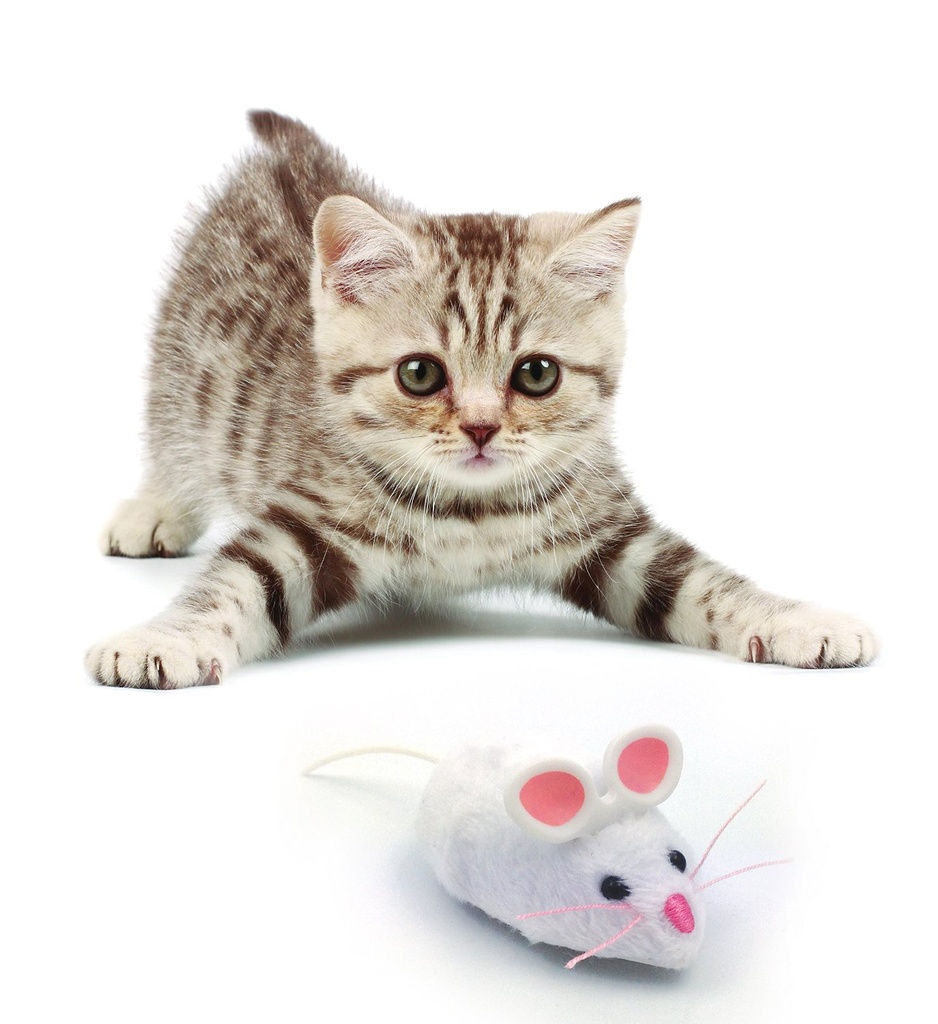 HEXBUG Mouse Cat Toy - White