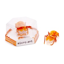 HEXBUG Micro Ant - oranžový