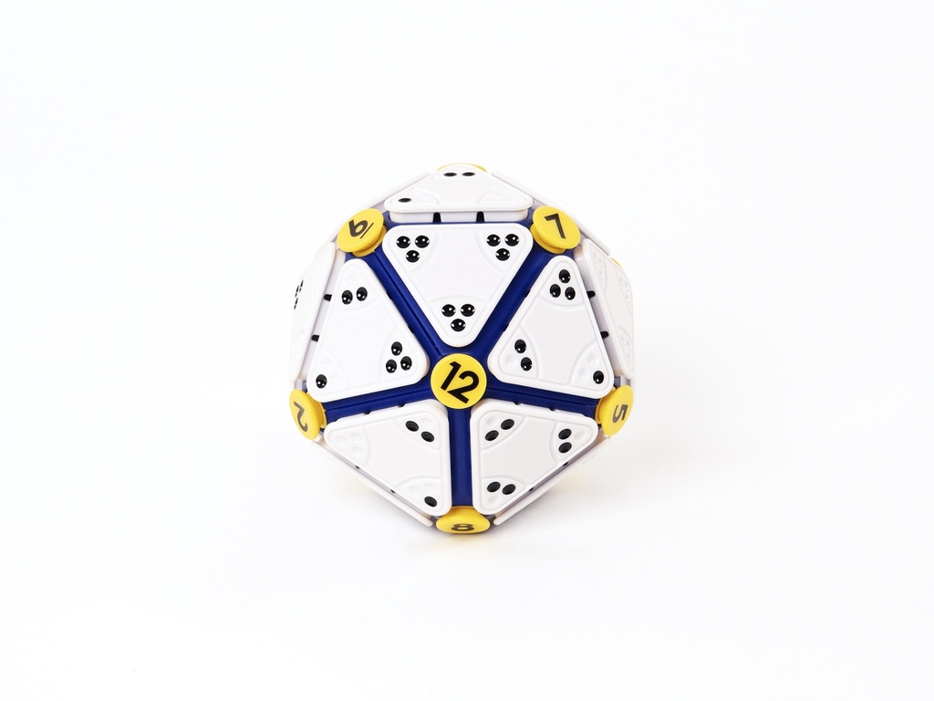 RECENTTOYS Icosoku - 885025_1.jpg