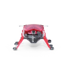 HEXBUG Beetle - red