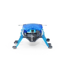 HEXBUG Beetle - blue