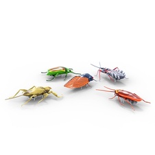 HEXBUG Real Bugs - 5 Pack - 807676_4.jpg