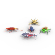 HEXBUG Real Bugs - 5 Pack - 807676_6.jpg