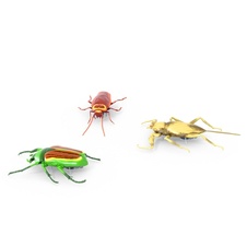 HEXBUG Real Bugs - 3 Pack