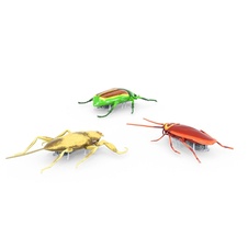 HEXBUG Real Bugs - 3 Pack