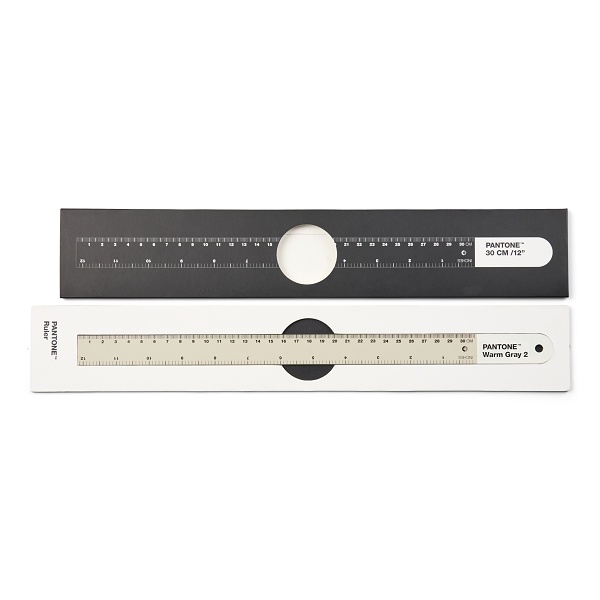 PANTONE Ruler 30 cm - Warm Grey 2