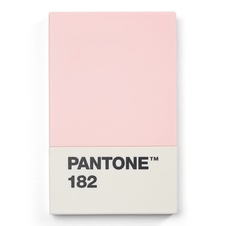 PANTONE Credit & business card holder - Light Pink 182