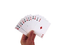 RECENTTOYS The Big Five - Cards - 885128_4.jpg