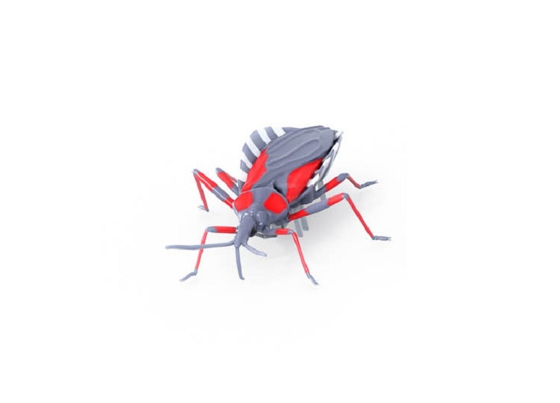 HEXBUG Real Bugs - Asasínský brouk - 8079260002_1.jpg