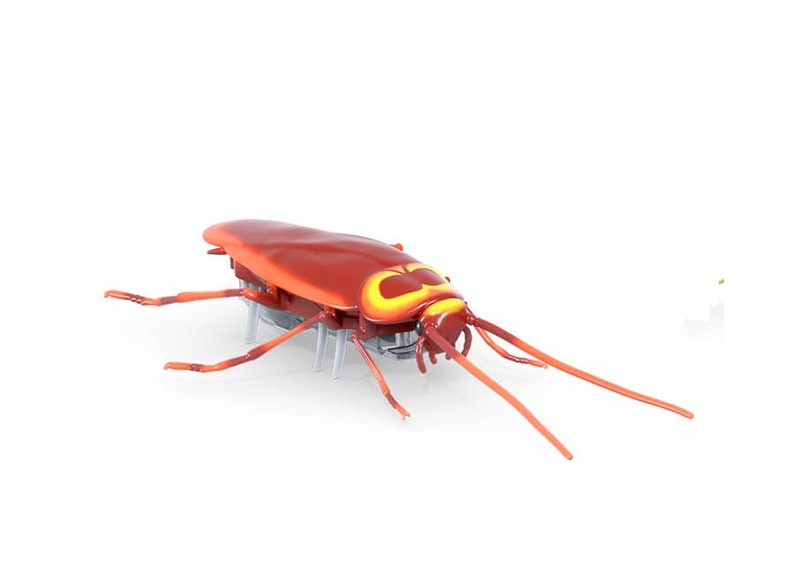 Hexbug insects outlet