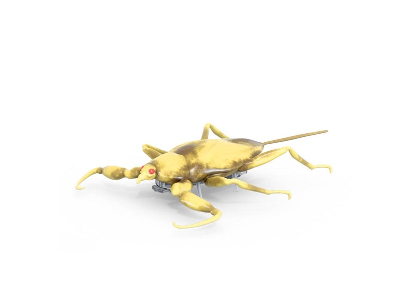 HEXBUG Real Bugs - Vodný škorpión