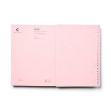 PANTONE Zápisník bodkovaný, vel. L - Light pink 13-2006