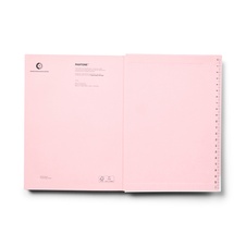 PANTONE Notebook L, DOTTED - Light pink 13-2006