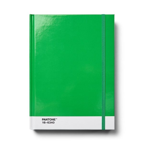 PANTONE Notebook L, DOTTED - Green 16-6340