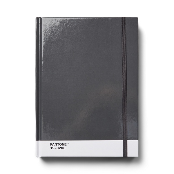 PANTONE Notebook L, DOTTED - Grey 19-0203