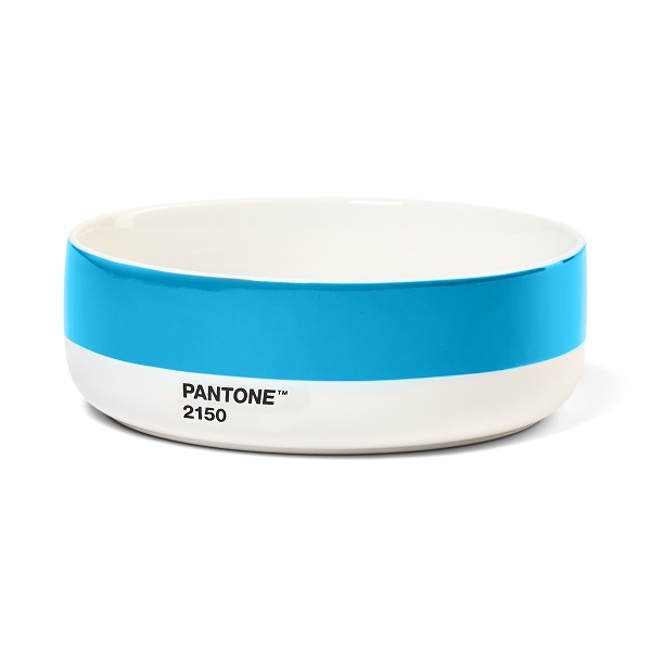 PANTONE Soup Bowl - Blue 2150