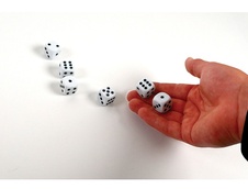 RECENTTOYS The Big Five - Dice