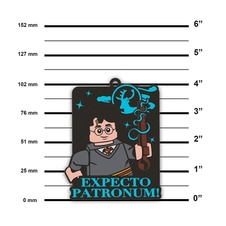 LEGO Harry Potter Magnet