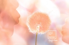 PANTONE Pútko na kľúče S - Peach Fuzz 13-1023 (farba roku 2024)
