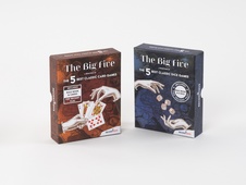 RECENTTOYS The Big Five - Cards