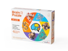 RECENTTOYS Brain Puzzle set of 6
