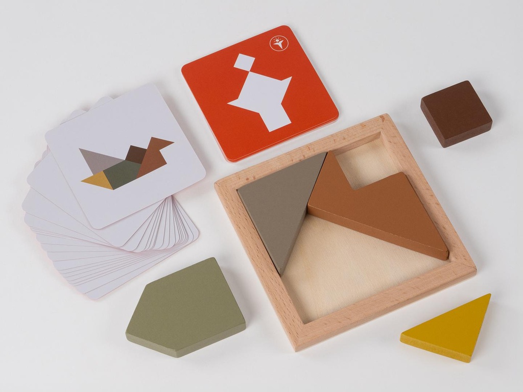 RECENTTOYS Tangram 4 živly - oheň