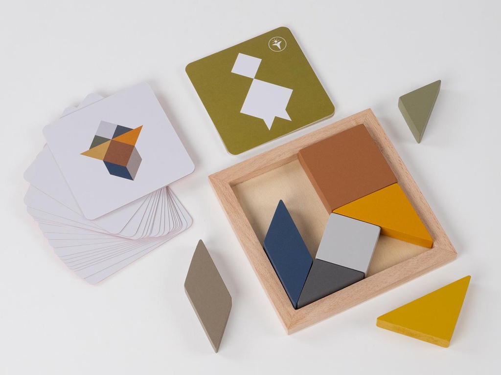 RECENTTOYS Tangram 4 elements - earth