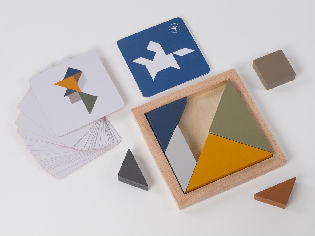 RECENTTOYS Tangram 4 elements - water