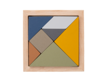 RECENTTOYS Tangram 4 elements - water