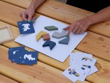 RECENTTOYS Tangram 4 živly - oheň