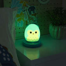 Squishmallows FIZZ Dekorativní osvětlení - Sova Winston - 350060_4.png