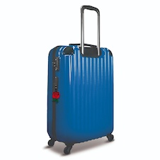 LEGO Botanicals Jmenovka na zavazadlo - Růže - 53661_6.jpg