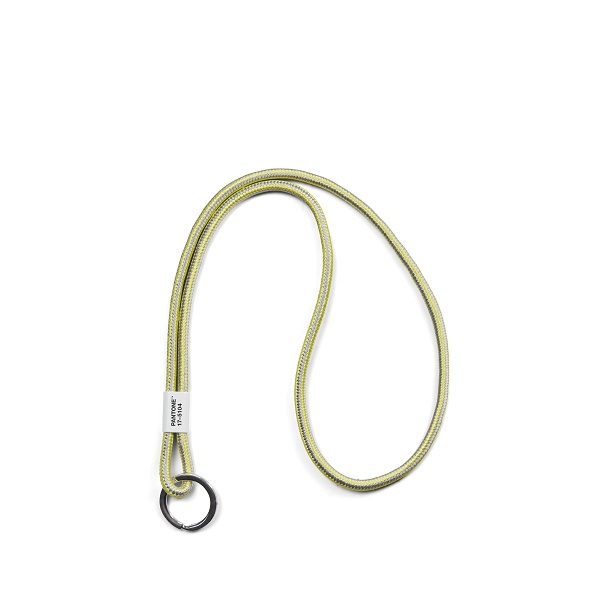 PANTONE Key Chain L - COY21