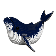 EUGY051_1.png
