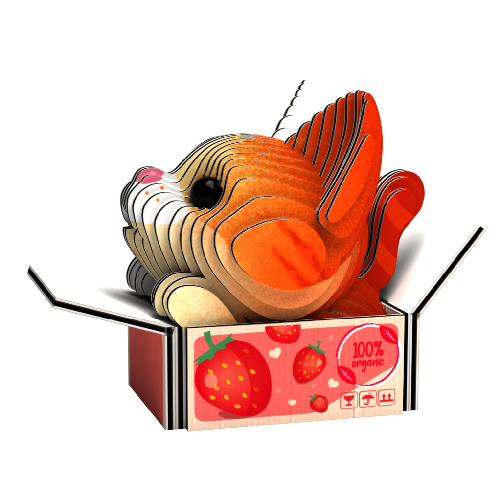 EUGY Kočka Pumpkin 3D kartonová skládačka