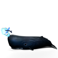 EUGY092_1.png