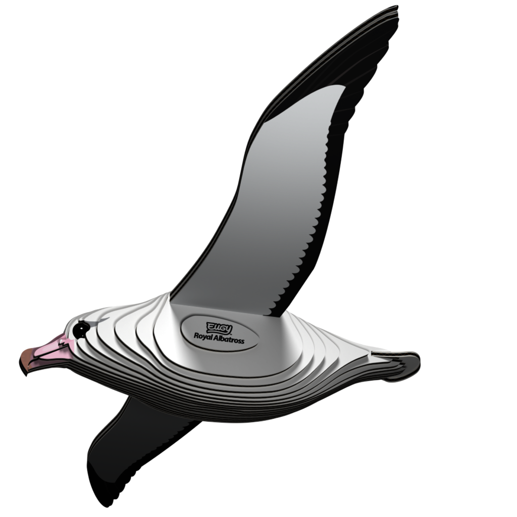 EUGY Albatros královský 3D kartonová skládačka - EUGY097_1.png