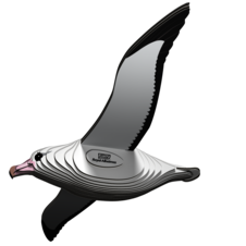 EUGY097_1.png
