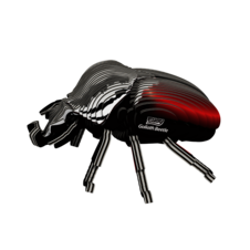 EUGY111_1.png