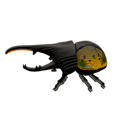 EUGY112_1.png