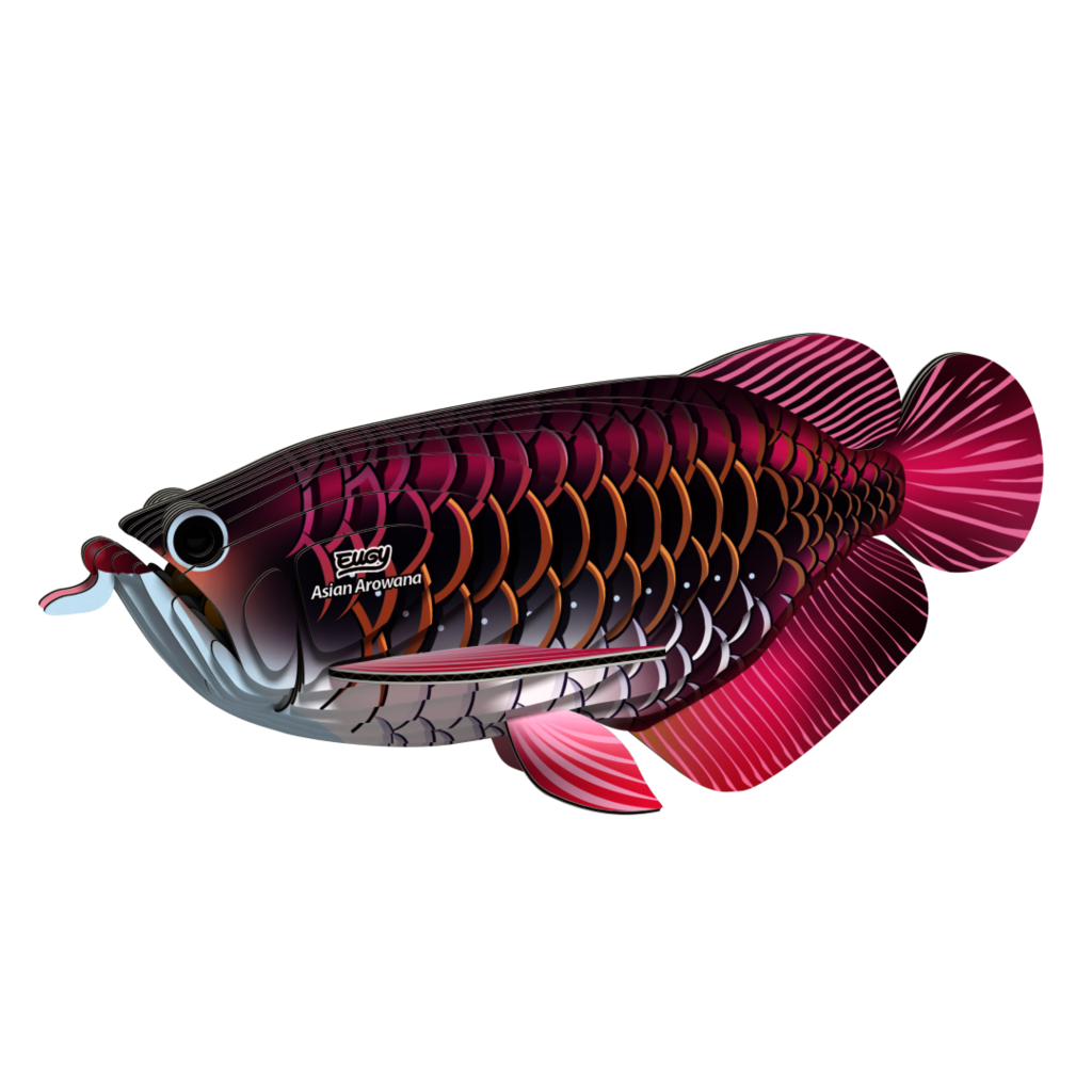 EUGY Arowana asijská 3D kartonová skládačka - EUGY118_1.png