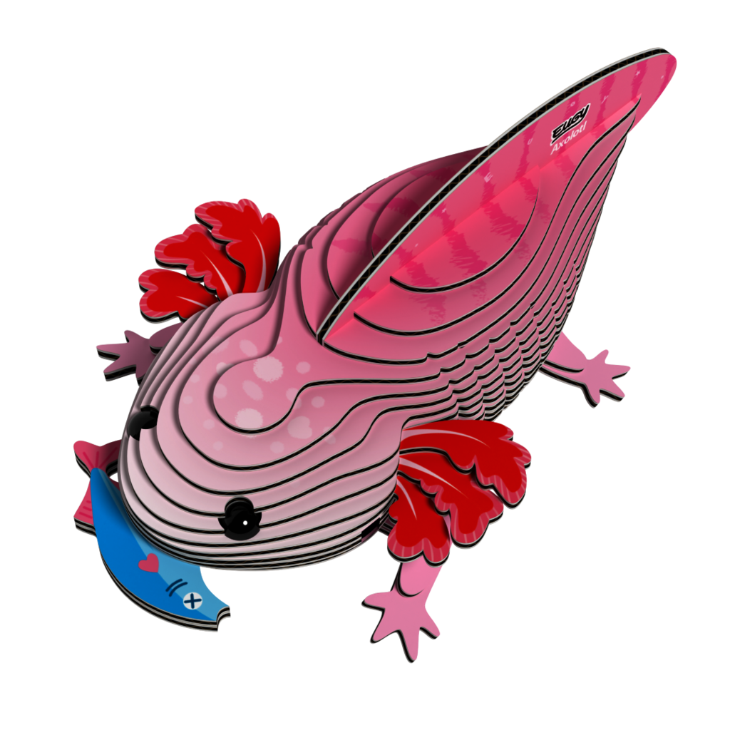 EUGY Axolotl 3D kartonová skládačka - EUGY139_1.png