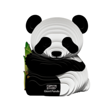 EUGY142_1.png