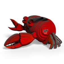 EUGY144_1.png